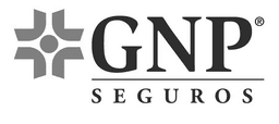 GNP logo