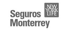 Seguros Monterrey logo